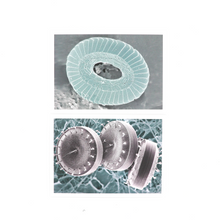 Load image into Gallery viewer, Set of Six Notecards