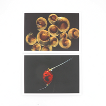 Load image into Gallery viewer, Set of Six Notecards