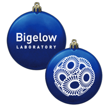 Load image into Gallery viewer, Bigelow Laboratory Coccolithophore Ornament
